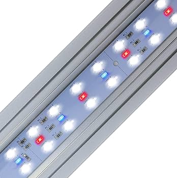 Amazon.com : Finnex Stingray 2 Aquarium LED Light, Blue Fish